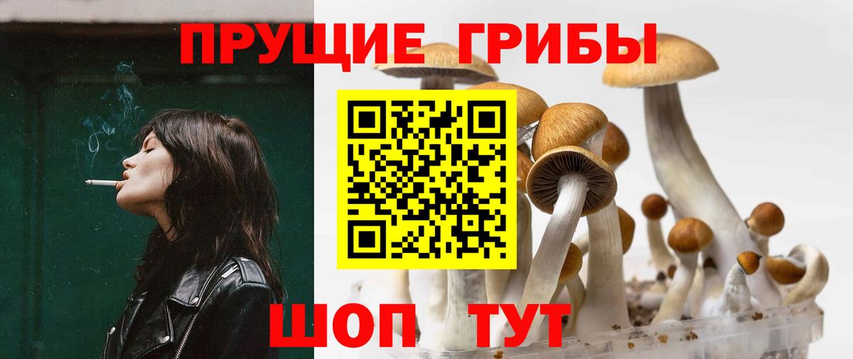 Гурьевск  Галлюциногенные грибы GOLDEN TEACHER  купить наркоту  Галлюциногенные грибы Psilocybe  Вход с VPN 