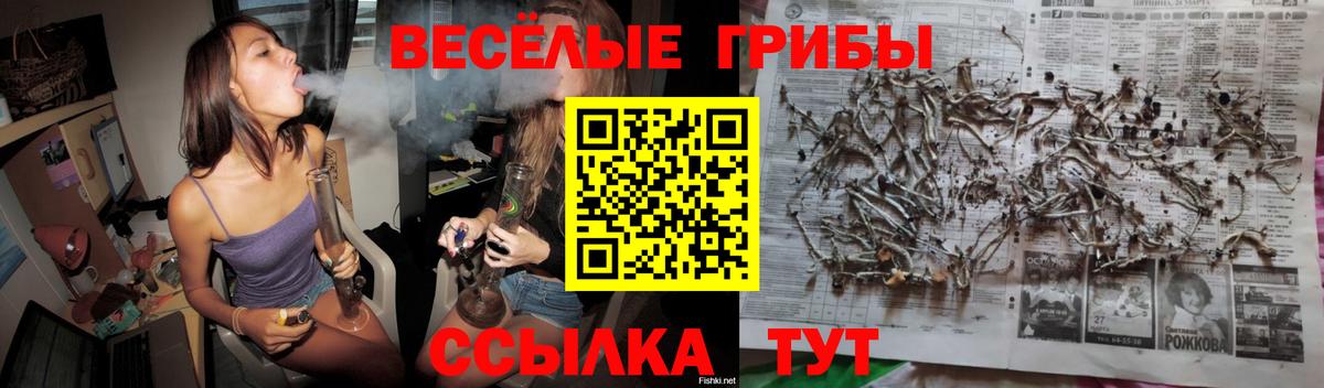 Псилоцибиновые грибы ЛСД Гурьевск